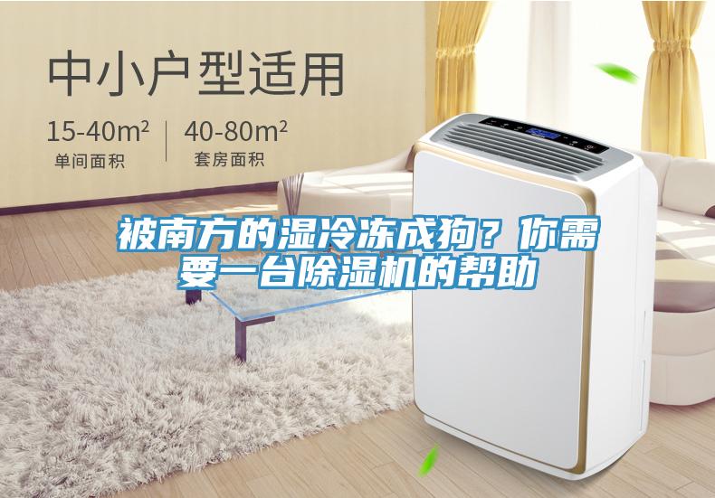 被南方的濕冷凍成狗？你需要一臺(tái)除濕機(jī)的幫助