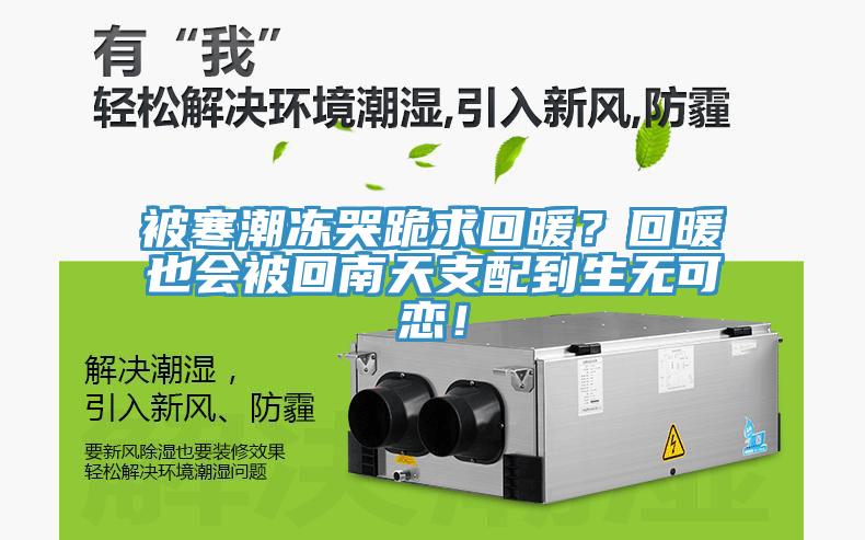被寒潮凍哭跪求回暖？回暖也會(huì)被回南天支配到生無可戀！