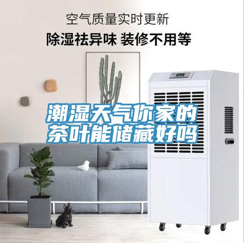 潮濕天氣你家的茶葉能儲(chǔ)藏好嗎