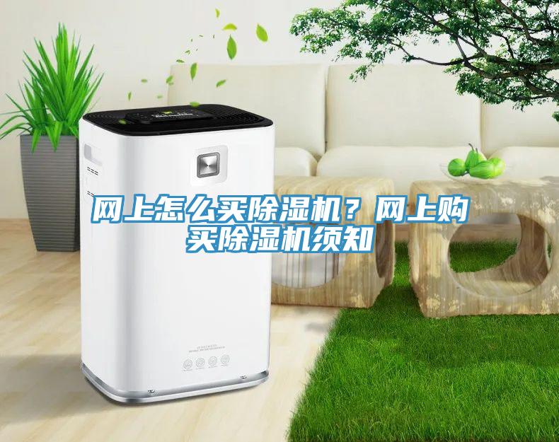 網(wǎng)上怎么買除濕機(jī)？網(wǎng)上購(gòu)買除濕機(jī)須知
