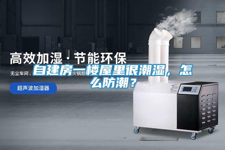 自建房一樓屋里很潮濕，怎么防潮？