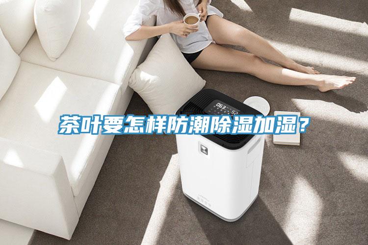 茶葉要怎樣防潮除濕加濕？