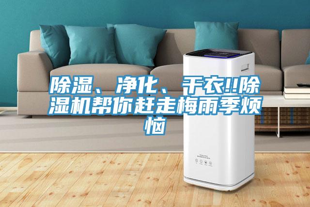 除濕、凈化、干衣!!除濕機(jī)幫你趕走梅雨季煩惱