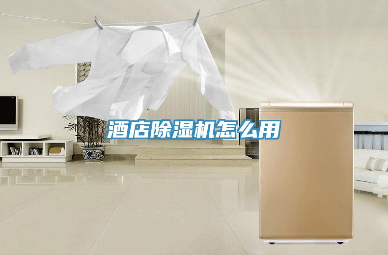 酒店除濕機(jī)怎么用