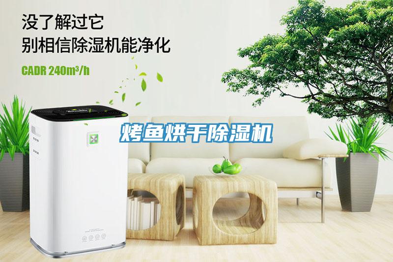 烤魚烘干除濕機(jī)