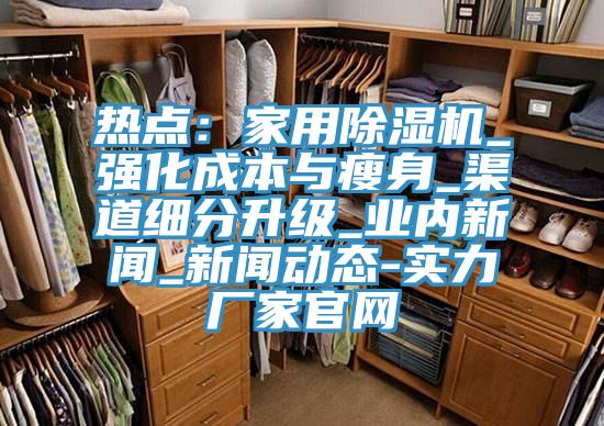 熱點(diǎn)：家用除濕機(jī)_強(qiáng)化成本與瘦身_渠道細(xì)分升級(jí)_業(yè)內(nèi)新聞_新聞動(dòng)態(tài)-實(shí)力廠家官網(wǎng)