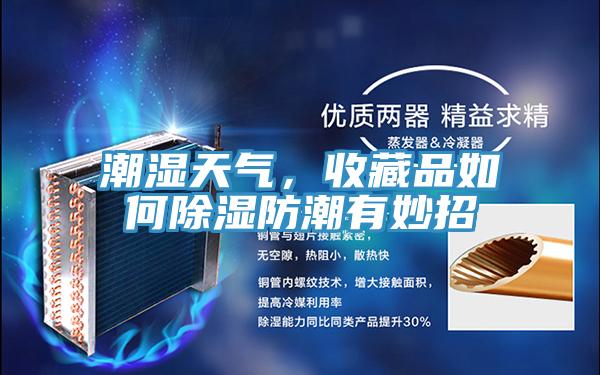 潮濕天氣，收藏品如何除濕防潮有妙招