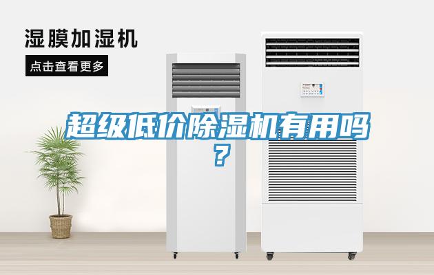 超級(jí)低價(jià)除濕機(jī)有用嗎？