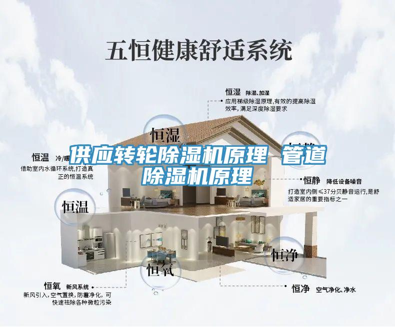 供應轉(zhuǎn)輪除濕機原理 管道除濕機原理