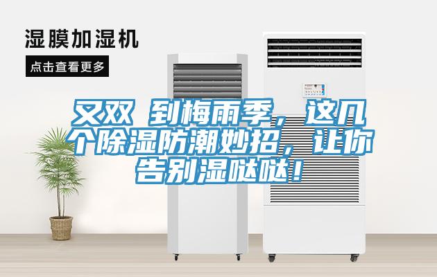 又雙叒到梅雨季，這幾個(gè)除濕防潮妙招，讓你告別濕噠噠！