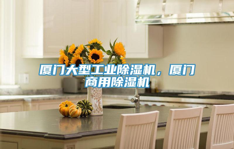 廈門大型工業(yè)除濕機，廈門商用除濕機