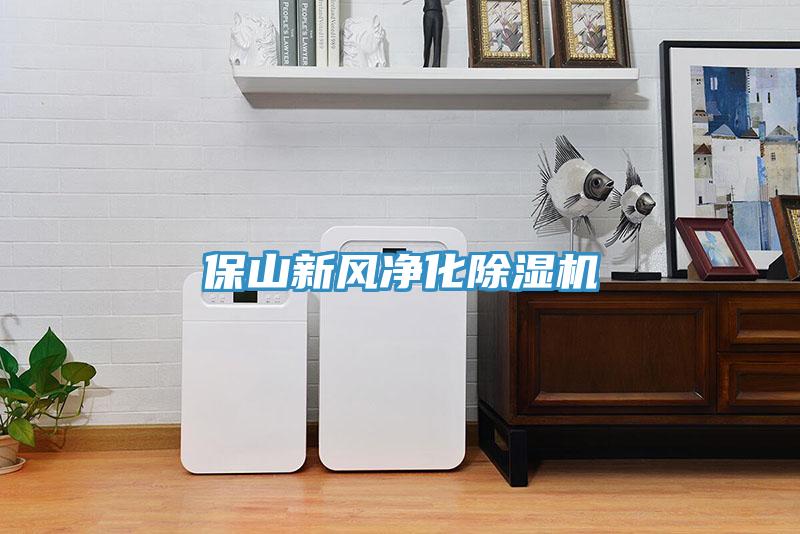 保山新風(fēng)凈化除濕機(jī)