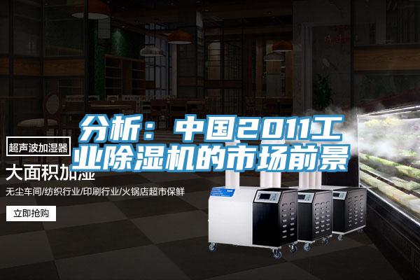 分析：中國(guó)2011工業(yè)除濕機(jī)的市場(chǎng)前景