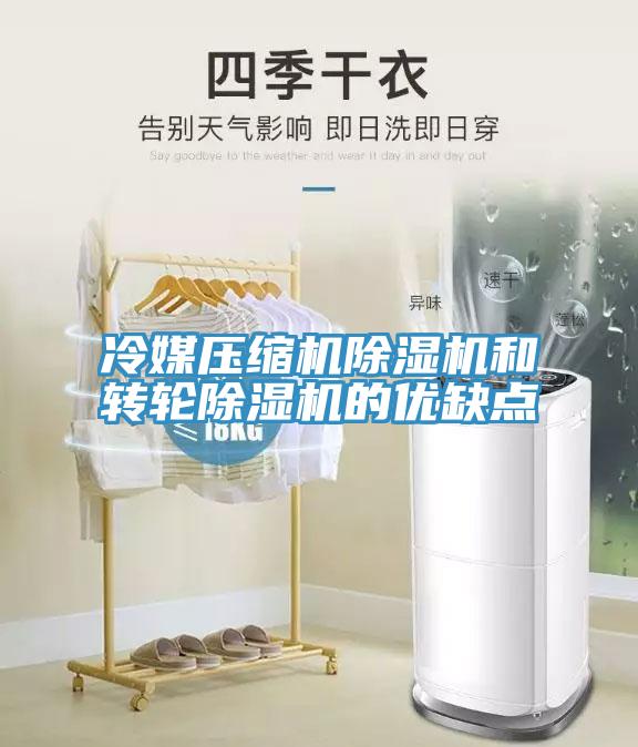 冷媒壓縮機(jī)除濕機(jī)和轉(zhuǎn)輪除濕機(jī)的優(yōu)缺點(diǎn)