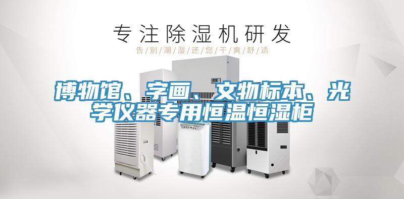 博物館、字畫、文物標本、光學儀器專用恒溫恒濕柜