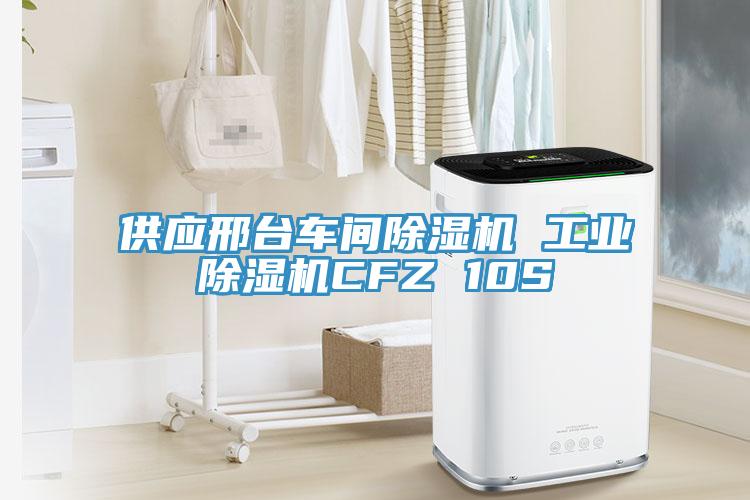 供應邢臺車間除濕機 工業(yè)除濕機CFZ 10S