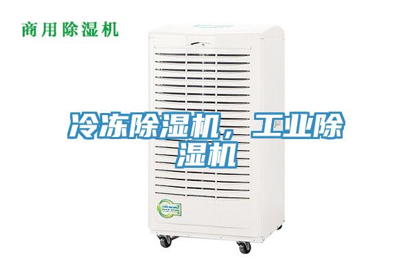 冷凍除濕機(jī)，工業(yè)除濕機(jī)