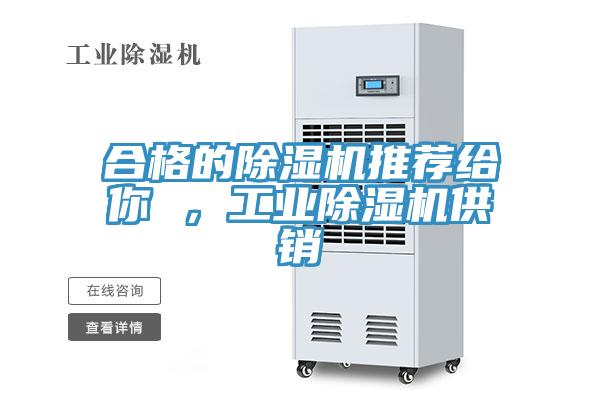 合格的除濕機(jī)推薦給你 ，工業(yè)除濕機(jī)供銷(xiāo)