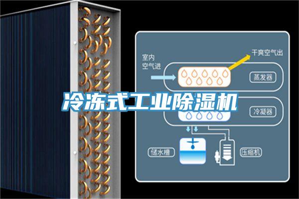 冷凍式工業(yè)除濕機