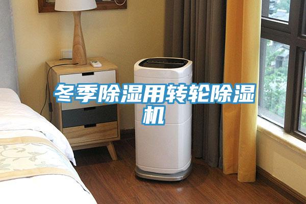 冬季除濕用轉(zhuǎn)輪除濕機