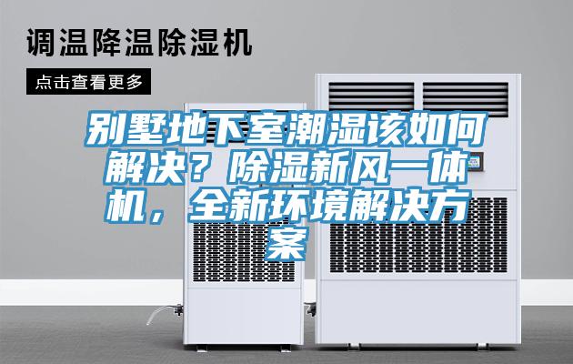 別墅地下室潮濕該如何解決？除濕新風(fēng)一體機(jī)，全新環(huán)境解決方案