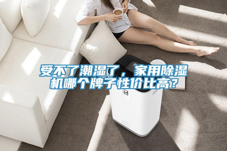 受不了潮濕了，家用除濕機哪個牌子性價比高？