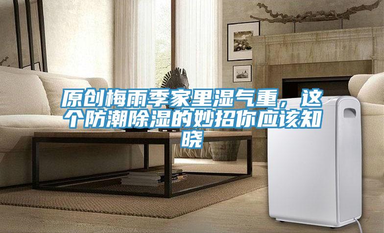 原創(chuàng)梅雨季家里濕氣重，這個防潮除濕的妙招你應(yīng)該知曉