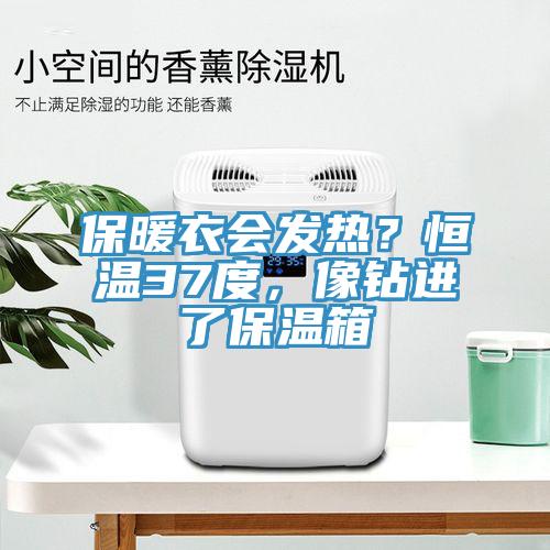 保暖衣會發(fā)熱？恒溫37度，像鉆進(jìn)了保溫箱