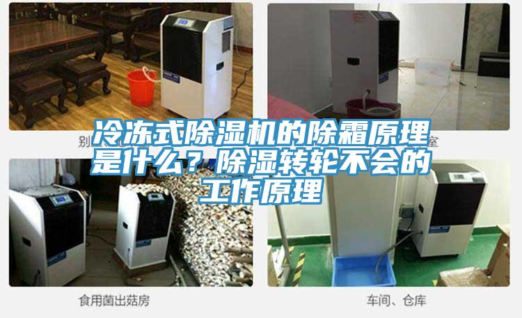 冷凍式除濕機的除霜原理是什么？除濕轉(zhuǎn)輪不會的工作原理