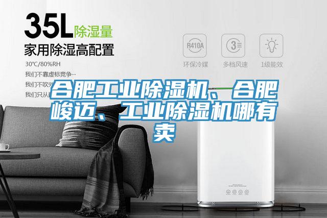合肥工業(yè)除濕機(jī)、合肥峻邁、工業(yè)除濕機(jī)哪有賣