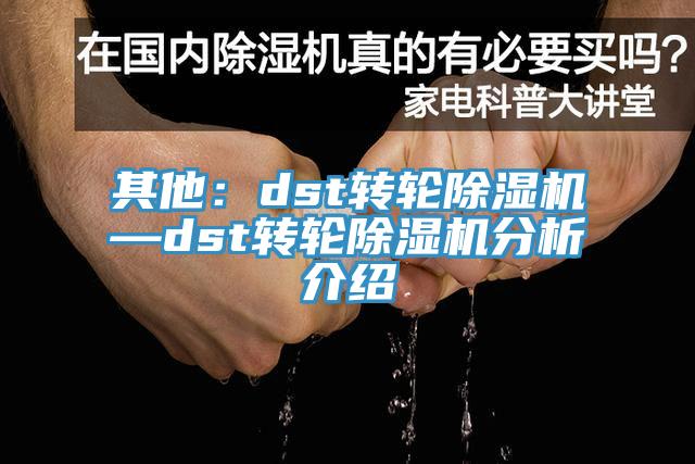 其他：dst轉輪除濕機—dst轉輪除濕機分析介紹