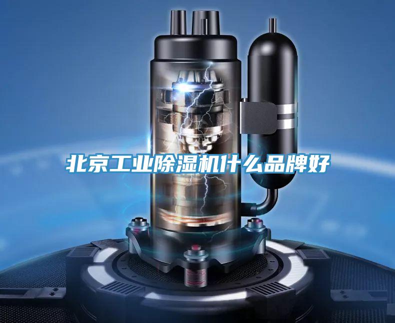 北京工業(yè)除濕機(jī)什么品牌好