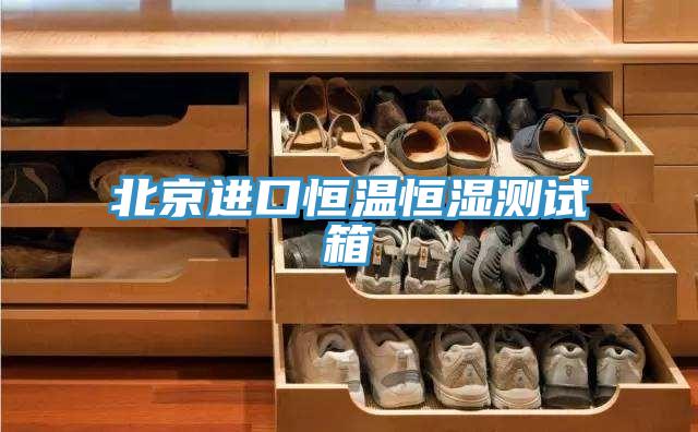 北京進口恒溫恒濕測試箱