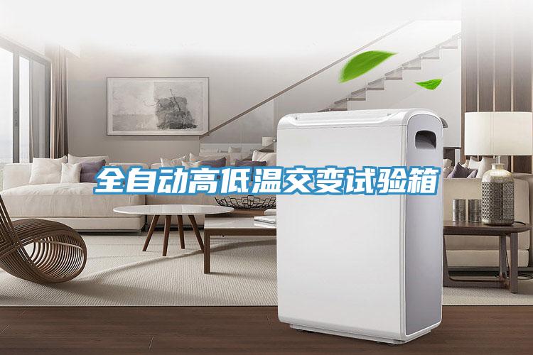全自動(dòng)高低溫交變?cè)囼?yàn)箱