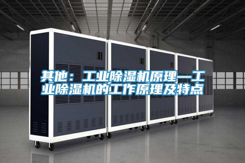 其他：工業(yè)除濕機原理—工業(yè)除濕機的工作原理及特點