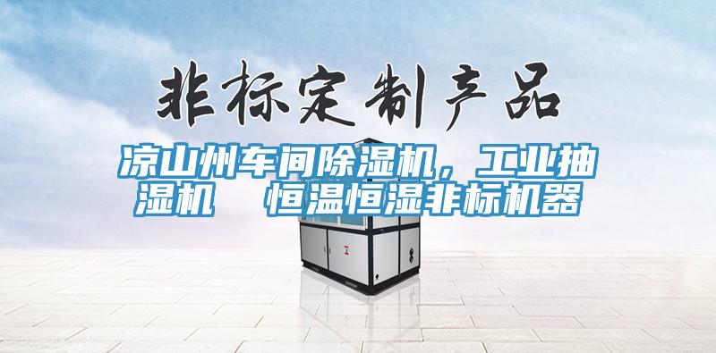 涼山州車間除濕機，工業(yè)抽濕機  恒溫恒濕非標(biāo)機器