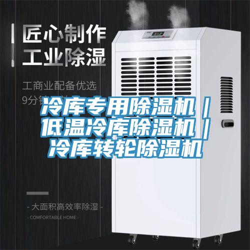 冷庫(kù)專(zhuān)用除濕機(jī)｜低溫冷庫(kù)除濕機(jī)｜冷庫(kù)轉(zhuǎn)輪除濕機(jī)