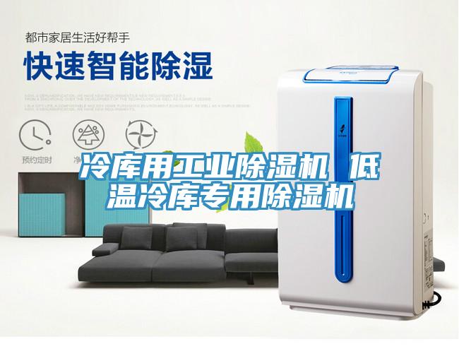 冷庫(kù)用工業(yè)除濕機(jī) 低溫冷庫(kù)專(zhuān)用除濕機(jī)
