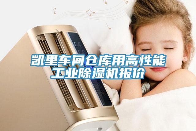 凱里車間倉庫用高性能工業(yè)除濕機報價
