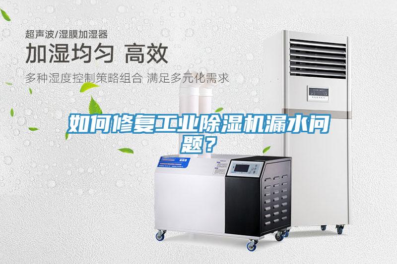 如何修復(fù)工業(yè)除濕機(jī)漏水問題？