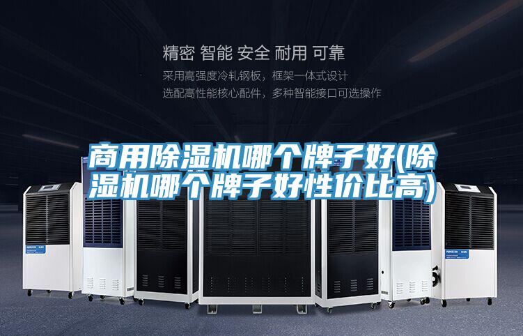 商用除濕機(jī)哪個牌子好(除濕機(jī)哪個牌子好性價比高)