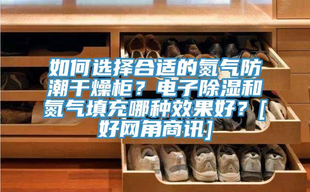如何選擇合適的氮氣防潮干燥柜？電子除濕和氮氣填充哪種效果好？[好網(wǎng)角商訊]