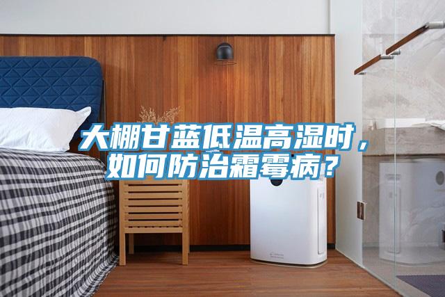 大棚甘藍(lán)低溫高濕時(shí)，如何防治霜霉?。?></div>
								<div   id=