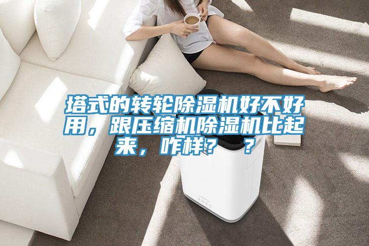 塔式的轉(zhuǎn)輪除濕機(jī)好不好用，跟壓縮機(jī)除濕機(jī)比起來，咋樣？ ？
