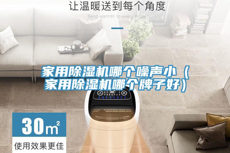 家用除濕機(jī)哪個噪聲?。矣贸凉駲C(jī)哪個牌子好）