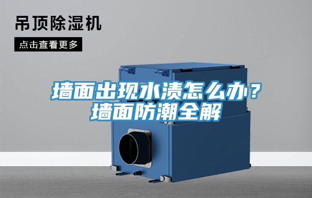 墻面出現(xiàn)水漬怎么辦？墻面防潮全解