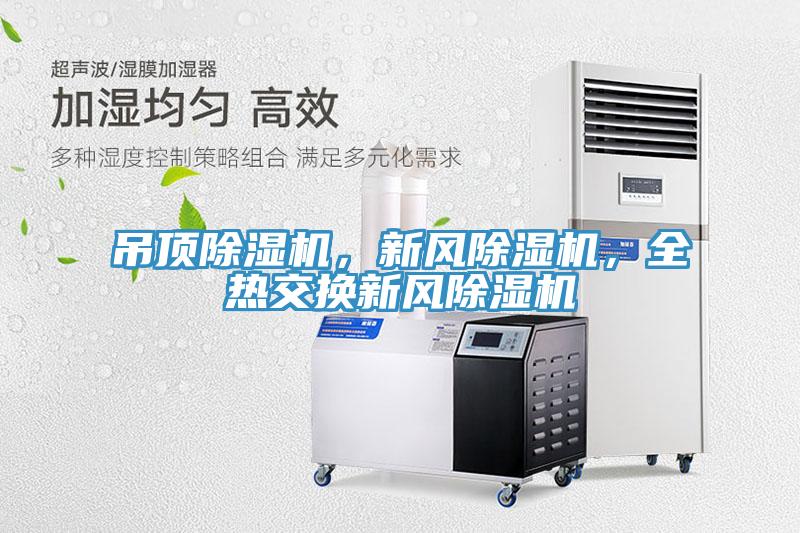 吊頂除濕機(jī)，新風(fēng)除濕機(jī)，全熱交換新風(fēng)除濕機(jī)