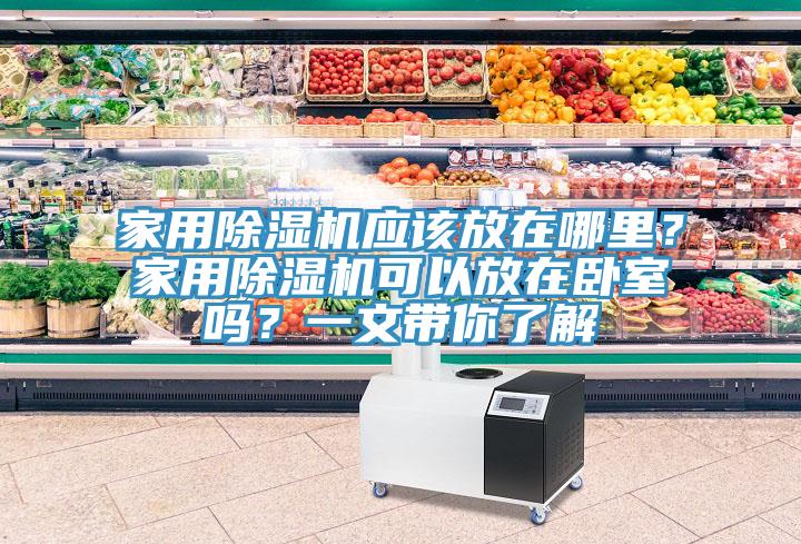 家用除濕機(jī)應(yīng)該放在哪里？家用除濕機(jī)可以放在臥室嗎？一文帶你了解