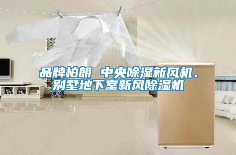 品牌柏朗 中央除濕新風(fēng)機(jī)、別墅地下室新風(fēng)除濕機(jī)