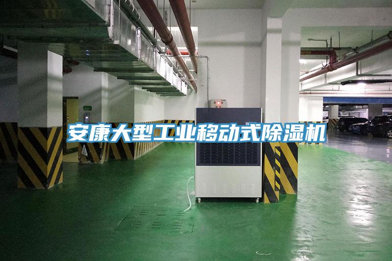 安康大型工業(yè)移動(dòng)式除濕機(jī)